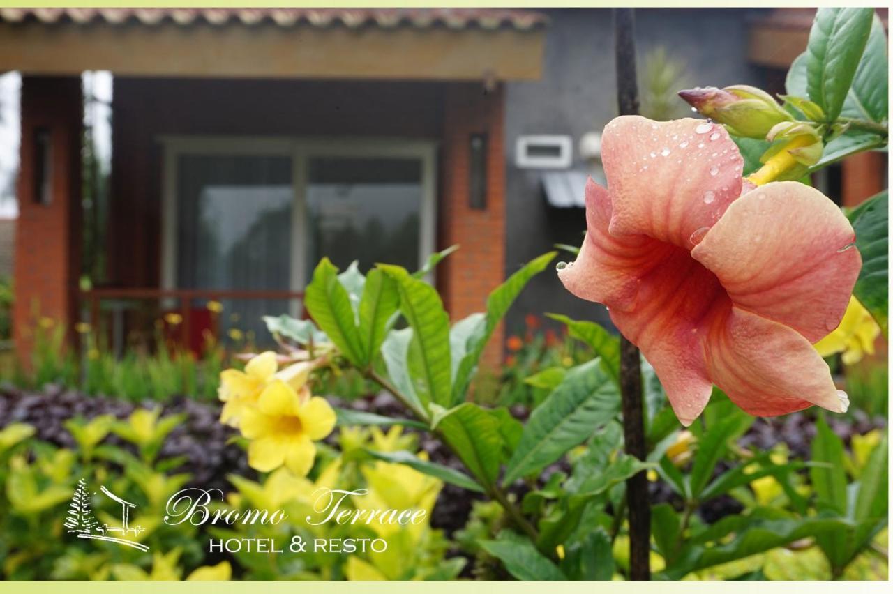Bromo Terrace Hotel Exteriér fotografie
