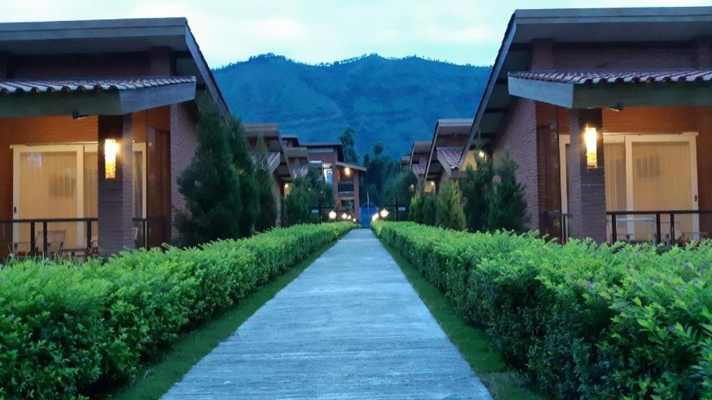 Bromo Terrace Hotel Exteriér fotografie